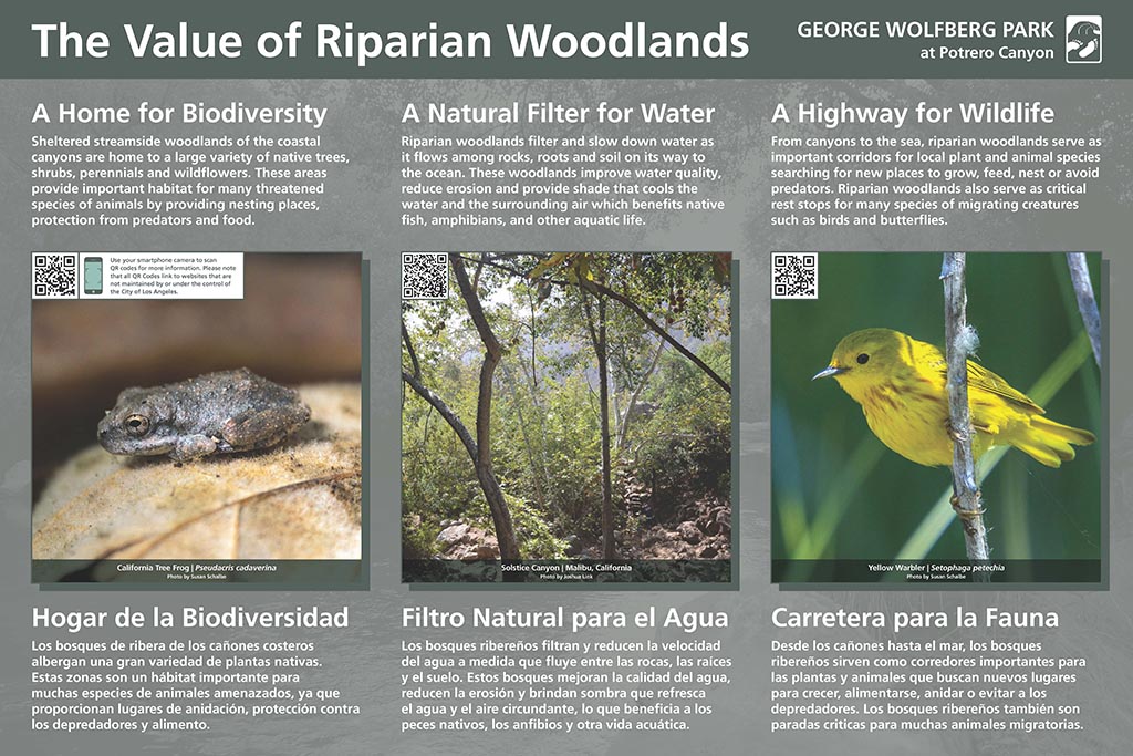 6-Potrero_Canyon_Value_of_Riparian_Woodlands_Exhibit